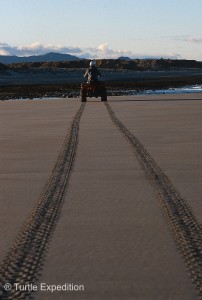 We only ride Quads below the water line so the next tide will eliminate the tracks.