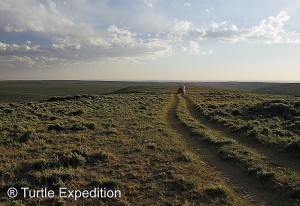 wild horse scenic tour