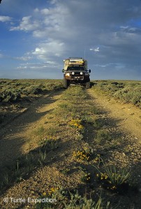 wild horse scenic tour