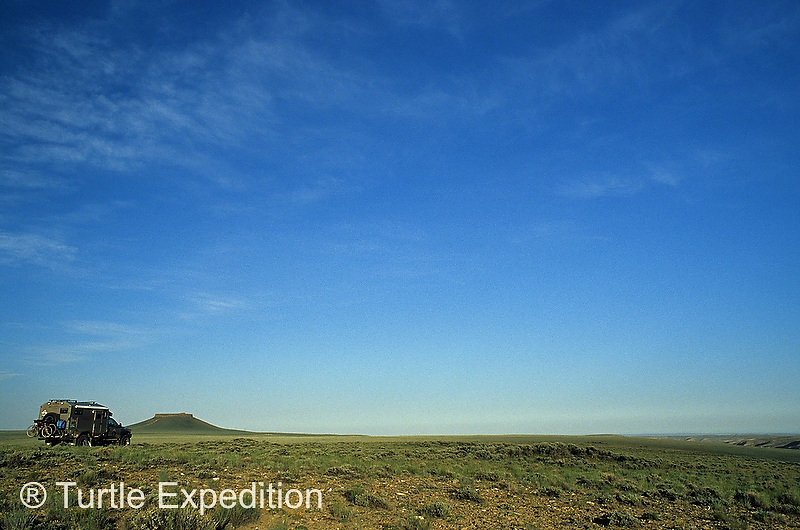 wild horse scenic tour