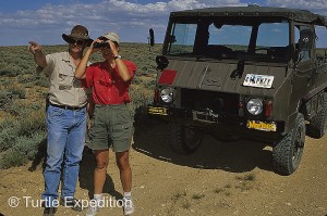 wild horse scenic tour