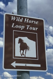 Wild Horse Loop025