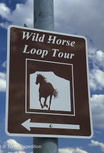 wild horse scenic tour