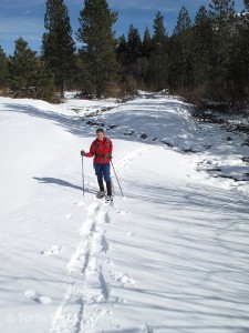 Four inches of fresh powder in Bear Valley gave us just reason to take the afternoon off.