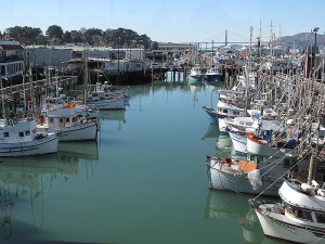 The wooden docks overlooking the fishing fleet are a great place to enjoy a fresh cracked crab and some famous sour dough bread from the Boudin Bakery.