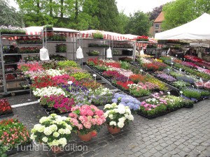 The Saturday morning market offered a huge selection of fresh produce and flowers.