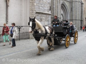 Beautiful horses pulled carriages at a fast clip around town, and they didn’t know all the traffic laws.