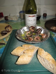 Some nice wine and escargot sautéed in butter and white wine with a fresh Baggett.