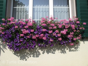 Flowers spill out of windowsill planters.