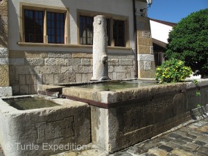 How many cows drank out of THIS fountain?