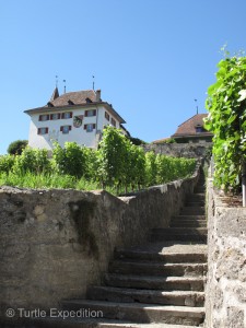 The castle tower of Erlach was founded around 1100.