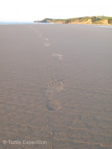 Each night the tide came in to erase all the footprints and sand castles.