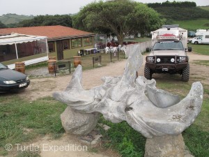 We remembered that Playa Merón had another name: “Whalebone Beach”.