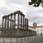 The Roman temple in the middle of the town was interesting. We’ll see many more in the next few weeks.