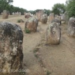 Menhirs 04