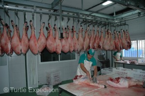 After the animals are slaughtered, butchers trim the legs and prepare them for the salting process.