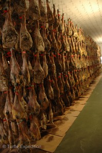With the first cooling process finished, the hams are aged and cured naturally at 15°C to 25°C (59°F to 77°F) for up to four years.