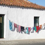 These clothes honing in the sun reminded us that we needed to do the same soon.