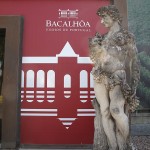 More than a great winery, the Bacalhôa museum had among other items a fabulous African art collection dedicated to Nelson Mandela.