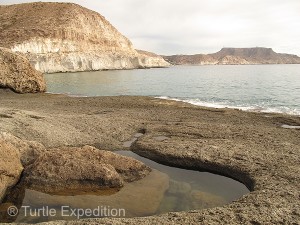 Just over the ridge from our camp on the beach we found some interesting tide pools and rock formations.