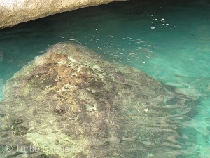 The water of the Mediterranean was shockingly clear, something like the aqua green of a swimming pool.