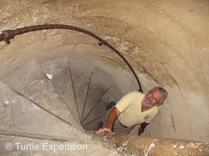 Gary's favorite progressively diminishing circular chicken ladder steps to reach the top of the tower.