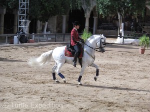 We had never seen such an amazing display of high-stepping gates, backwards, sideways and crossovers.