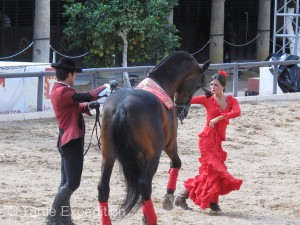 As a beautiful Flamenco dancer twirled about, the horse seemed to be listening to the music and having a good time keeping with the rhythm.