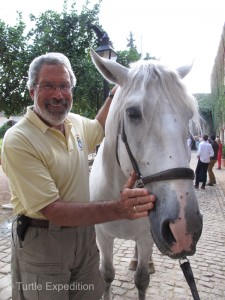 The Andalusian Horse, also called Spanish Purebred, is truly one of the most magnificent animals of its kind.