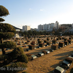 Many of the 40,896 soldiers from 17 countries who gave their lives to protect the Republic of Korea against the communist aggression are buried here.