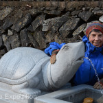 A turtle watched the entrance of the cave, always a sign of good luck in Korea.