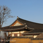 The attractive sweeping tile roofs have been maintained for centuries in the historic Village of Hahoe.