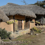 The straw thatched roofs, traditionally said to be servants' quarters, were part of what gave the Ryu clan village its historic appeal.