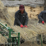 We happened upon a group of men using a unique sewing machine to stitch the rice straw together for later use on the roofs of the village.