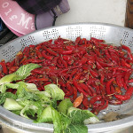 Cabbage and hot chili peppers, two of the ingredients in Kimchi preparations.