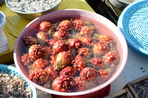 We have absolutely no idea what this delicacy was nor how it's eaten.