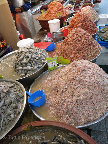 Various heaps of brined seafood were ready for customers.