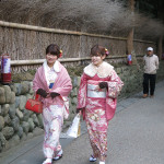 Two young girls in their beautiful kimonos stroll through a park in Kyoto.