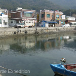 For our last night in The Turtle V in South Korea, we found a wide spot by the harbor in a quite fishing village.