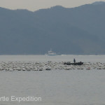 Hundreds of what appeared to be abalone racks dotted the inner bay. The rocky beach was littered with small abalone shells.