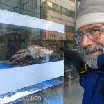 Fresh crab was still tempting but the price was outrageous. This guy staring at Gary for mercy could have cost over $100.