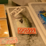 Looks like a fresh tuna, cheap at only 49,000 Yen. ($395.80). Is that per kilo or for the whole fish?