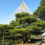 Japan Parks & Temples 11
