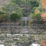Late autumn colors are reflecting in the Kyoyochi pond at Kyoto’s Ryoanji Temple Park. It was made in the late 12th century.