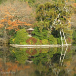Japan Parks & Temples 35