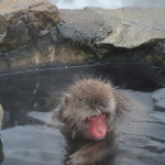 Ah, this warm water feels so good.