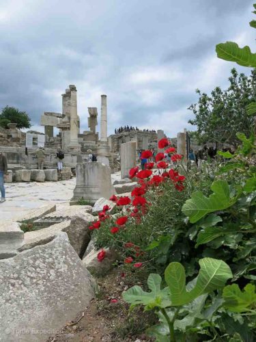 Ephesus is one of the most important attractions in Turkey. 