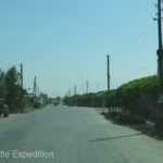 Long overhanging canopies of grape vines shaded sidewalks in front of homes.