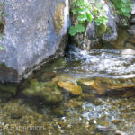 A natural creek flowed out of the base of a rocky cliff and meandered right past our camp.