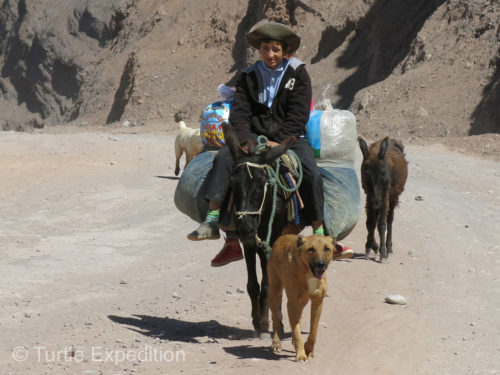 Locals were transporting themselves and their goods on donkeys.